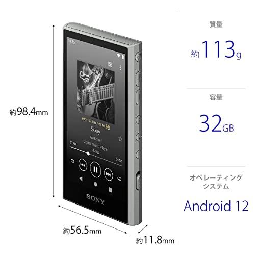 ソニー ウォークマン 32GB A300シリーズ NW-A306 : ワイヤレスでも 