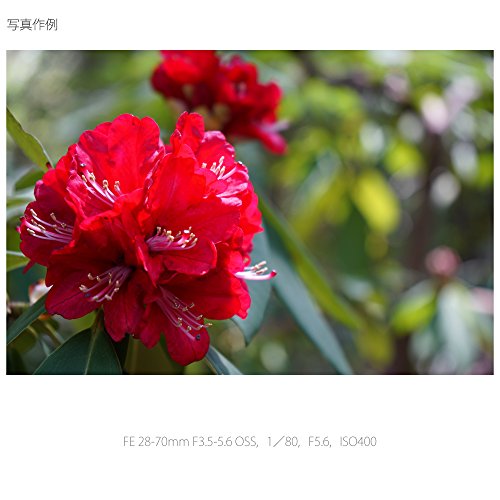 SONY 標準ズームレンズ FE 28-70mm F3.5-5.6 OSS フルサイズ対応