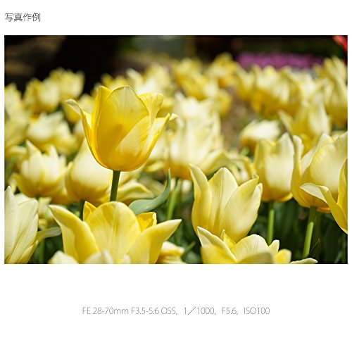SONY 標準ズームレンズ FE 28-70mm F3.5-5.6 OSS フルサイズ対応