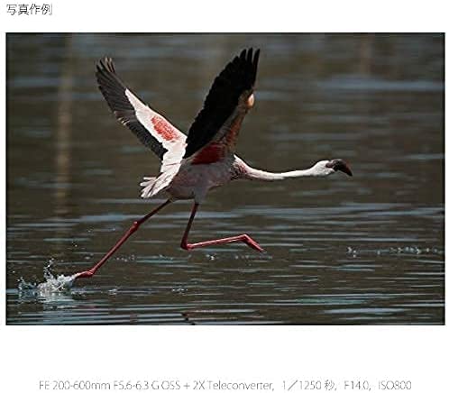 SONY(ソニー) 超望遠ズームレンズ フルサイズ FE 200-600mm F5.6-6.3 G OSS Gレンズ デジタル一眼カメラα[Eマウント]用 純正レンズ SEL200600G