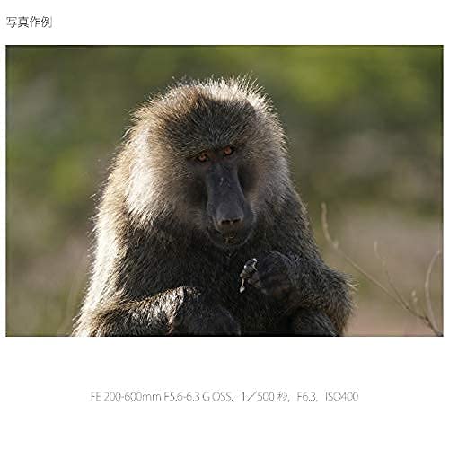 SONY(ソニー) 超望遠ズームレンズ フルサイズ FE 200-600mm F5.6-6.3 G OSS Gレンズ デジタル一眼カメラα[Eマウント]用 純正レンズ SEL200600G