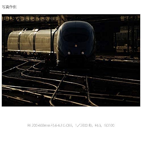 SONY(ソニー) 超望遠ズームレンズ フルサイズ FE 200-600mm F5.6-6.3 G OSS Gレンズ デジタル一眼カメラα[Eマウント]用 純正レンズ SEL200600G