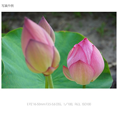 SONY 標準ズームレンズ E PZ 16-50mm F3.5-5.6 OSS ソニー Eマウント用 APS-C専用 SELP1650