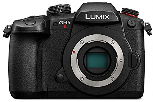 パナソニック(Panasonic) ミラーレス一眼カメラ ルミックス GH5M2 ボディ ブラック DC-GH5M2
