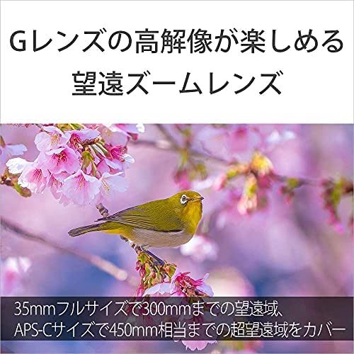 SONY(ソニー) 望遠ズームレンズ フルサイズ FE 70-300mm F4.5-5.6 G OSS Gレンズ デジタル一眼カメラα[Eマウント]用 純正レンズ SEL70300G