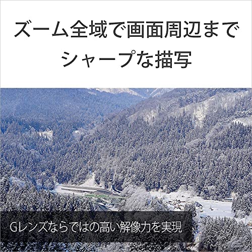SONY(ソニー) 望遠ズームレンズ フルサイズ FE 70-300mm F4.5-5.6 G OSS Gレンズ デジタル一眼カメラα[Eマウント]用 純正レンズ SEL70300G