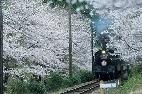 SONY(ソニー) 望遠ズームレンズ フルサイズ FE 70-300mm F4.5-5.6 G OSS Gレンズ デジタル一眼カメラα[Eマウント]用 純正レンズ SEL70300G