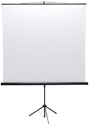 サンワサプライ プロジェクタースクリーン(三脚式) PRS-S80