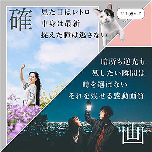 Nikon ミラーレス一眼カメラ Z fc レンズキット NIKKOR Z DX 16-50mm f/3.5-6.3 VR シルバー 付属 ZfcLK16-50SL