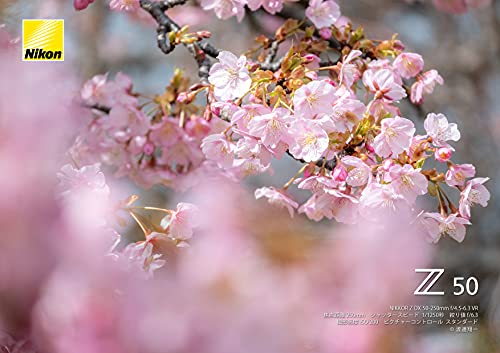Nikon 望遠ズームレンズ NIKKOR Z DX 50-250mm f/4.5-6.3 VR Zマウント DXレンズ NZDXVR50-250
