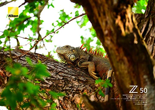 Nikon 望遠ズームレンズ NIKKOR Z DX 50-250mm f/4.5-6.3 VR Zマウント DXレンズ NZDXVR50-250