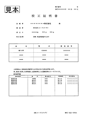 rui　オーダーページ WEB別注】究極のベーシック オールレザースリッポンスニーカー