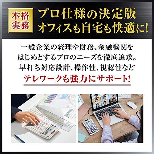 カシオ 本格実務電卓 12桁 グリーン購入法適合 デスクタイプ DS-12WT-N_2