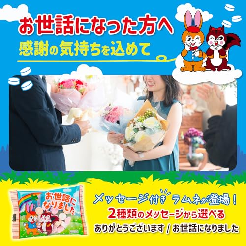 まいガム工房 クッピーラムネ (100個入 1.1kg 個包装) 退職 お菓子 お世話になりました プチギフト ラムネ菓子 お礼 ギフト 個包装 吉松