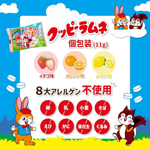 まいガム工房 クッピーラムネ (100個入 1.1kg 個包装) 退職 お菓子 お世話になりました プチギフト ラムネ菓子 お礼 ギフト 個包装 吉松