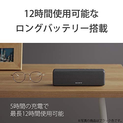 ソニー ワイヤレスポータブルスピーカー SRS-HG10 : Bluetooth Wi-Fi