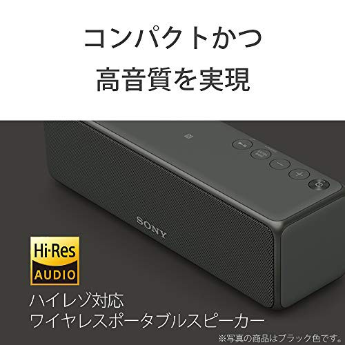 ソニー ワイヤレスポータブルスピーカー SRS-HG10 : Bluetooth Wi-Fi