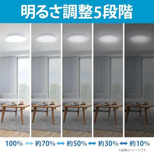 HotaluX（ホタルクス） 日本製 LEDシーリングライト HLDZ12259 適用畳数~12畳 (日本照明工業会基準) 5000lm 昼光色（6500K）調光タイプ（主照明５段階、常夜灯３段階）リモコン シンプルデザイン