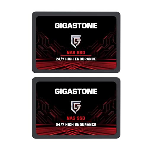 GIGASTONE 内蔵SSD 2TB 2パック NAS向け 高耐久【NAS SSD 御勧め】SATA III 6Gb/s 2.5インチ 高耐久モデル 高負荷のワークロードに対応 2