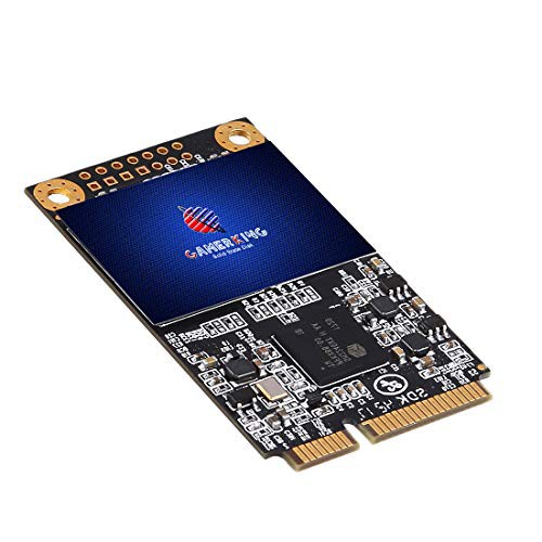 Gamerking SSD Msata 500GB SATA III 内蔵型 Solid State Driveノート/パソコン/適用 ソリッドステートドライブ (500GB Msata)