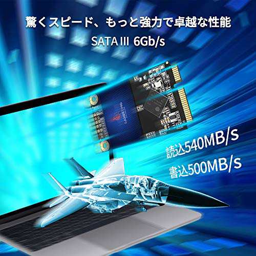 Gamerking SSD Msata 500GB SATA III 内蔵型 Solid State Driveノート/パソコン/適用 ソリッドステートドライブ (500GB, Msata)