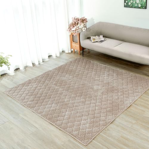 TOMODA LIFE カーペット ラグ 3畳 厚手 ラグマット 洗える 絨毯 オールシーズン おしゃれ 滑り止め 撥水加工 防音 ふわもこ 北欧 フランネル 床暖房 ホットカーペット対応 無地 春夏秋冬 四季適用 くすみカラー シンプルの通販は