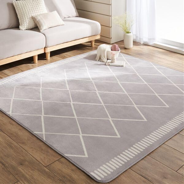 ベルーナ(BELLUNA) ラグ カーペット 北欧 撥水 はっ水機能付き オールシーズン チェック柄 洗える ホットカーペット対応 床暖房対応 安い 肌ざわり良い 毛足短め 軽量 快適 さらさら なめらか お掃除らくらく やわらか 北欧テの通販は 8,316円