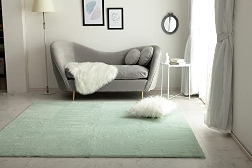 イケヒコ ラグ カーペット マット 長方形 ラピアス ピスタチオグリーン 約95×185cm シンプル 無地 やわらか ふかふか ソフトタッチ フェミニン #3987939の通販は 9,900円