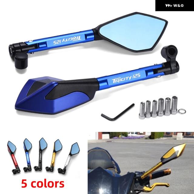 清水晃樹 神代杉 青楓絵扇面香合 内丸金箔 共箱 栞 茶道具 本物保証 工芸品