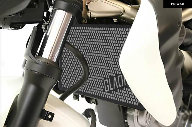 スズキ SFV650 GLADIUS SFV 650 GLADIUS 2009-2013 - 16 バイク アクセサリー ラジエーター グリル ガードカバー 10,436円