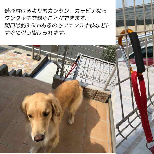 Big カラビナ フック ペットグッズ おでかけグッズ 犬 大型犬 中型犬 散歩 リード ホルダー お出掛け お散歩 ハンドルフック 引っ掛けるの通販はau Pay マーケット ホワイトナッツ