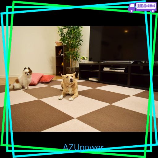 ６畳用大判タイプ おくだけ撥水吸着 タイルマット 60cm×45cm 36枚セット ブラウン 撥水加工 洗濯可 : ６畳用大判タイプ おくだけ撥水吸着 タイルマット 60cm