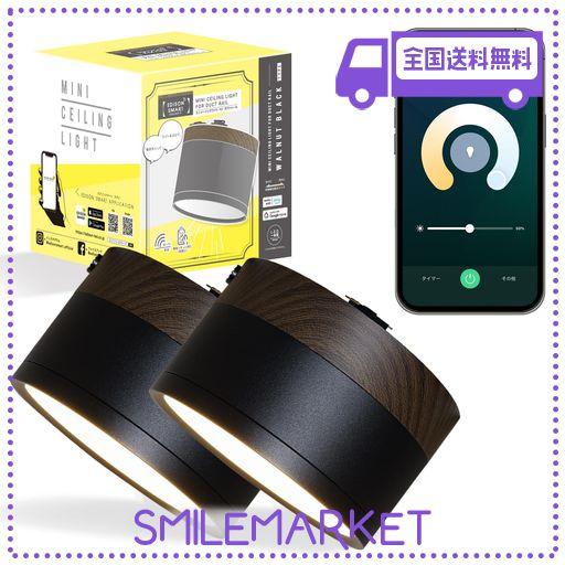 スマートスポットライト 2個セット ブラック エジソンスマート ミニ