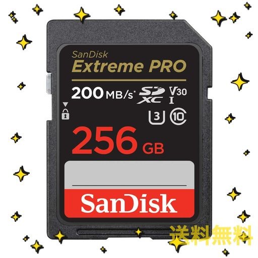 サンディスク 正規品 】 SDカード 256GB SDXC CLASS10 UHS-I V30 読取最大200MB/S