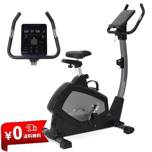 40個セット】【1ケース分】 ニューライオン シームレスサポーターズ