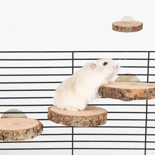 小動物 ステップ ステージ 踏み台 LL 特大サイズ ロフト 小動物