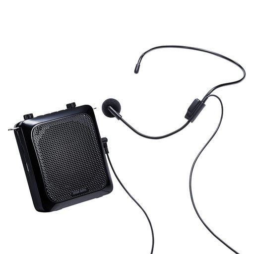 Golden Voice 4300B クワッド 4本 真空管 ゴールデンボイス