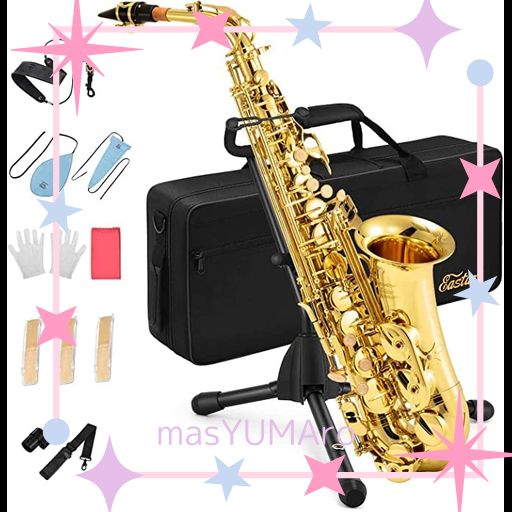 Rovner リガチャー VERSA メタル用 テナー アルト V-2M Amazon | ロブナー Rovner リガチャー VERSA-X テナー