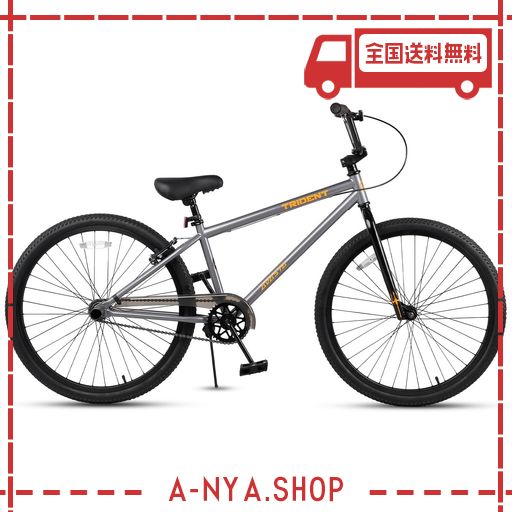 【AVASTA】TRIDENT レースBMX自転車 BMX RACING レーシング初心者向き 練習用 ジュニアサイズ 街乗り自転車 ファットタイヤ 取り外し可能チェーンケース キックスタンド/後輪ブレーキ/ペグセッ…
