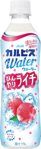 カルピス カルピスウォーター ひんやりライチ 490ML×24本