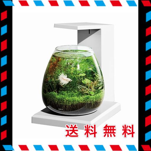 ジェックス GEX AQUARIUM グラスアクア PERCO T-WH 6L Amazon.co.jp