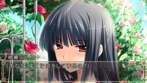 花と乙女に祝福を 春風の贈り物 PORTABLE (通常版)の通販は