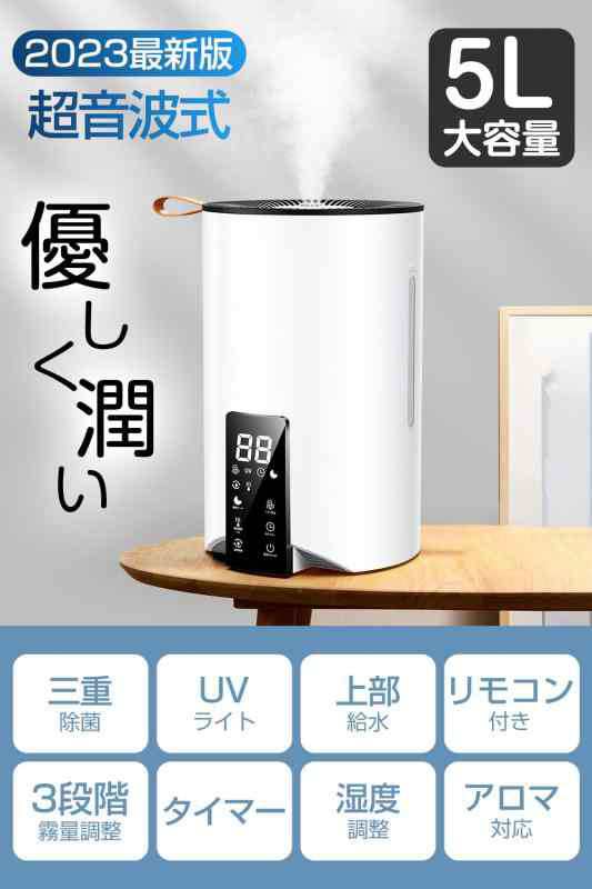 加湿器 大容量 5L 【2023秋モデル・除菌浄化・省エネ】 加湿器 超音波