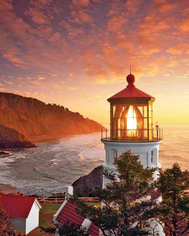 Springbok Morning Light 1000 Piece Jigsaw Puzzle 送料無料 14,625円