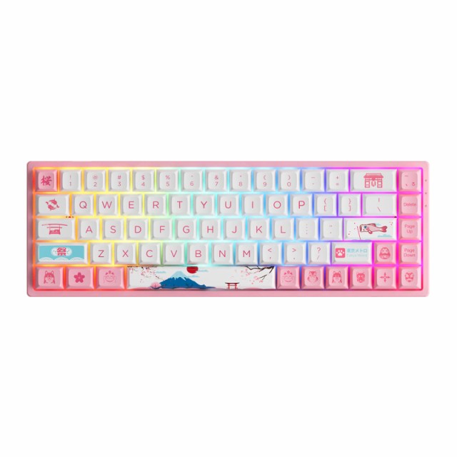 Akko 3068B Plus World Tour Tokyo R2 65 68-Key RGB Hot-swappable