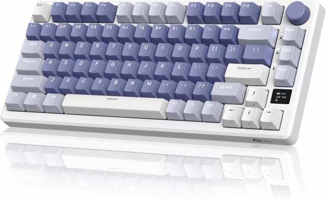 RK ROYAL KLUDGE M75 Mechanical Keyboard with OLED Smart Display and Volume Knob 2.4GUSB-CBT Gasket Mounted 75 Layout Wireの通販は
