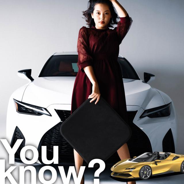 【高級2枚セット】 フェラーリ SF90 スパイダー シートクッション シートカバー 運転席 助手席 ウルトラスエード 【LotNo.01】 日本製 レザー アルカンターラ シート クッション 生地 座布団 東レ 内装 カスタム グッズ 車 車用 傷 汚れ シワ フィット 高反発