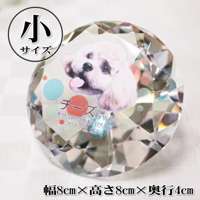 ヒッポファミリークラブ SDカード スタンダード 多言語マテリアル