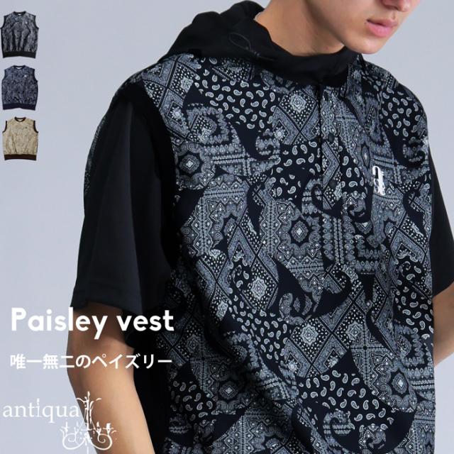 ANTIQUA GOLF×STCH ベスト メンズ 送料無料・(80)メール便可