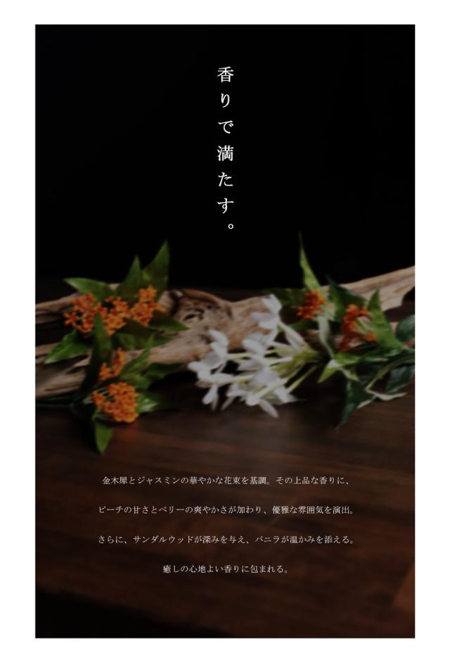 詰め替え オールデイ デイリーシャンプー シャンプー 送料無料 ・メール便不可_5